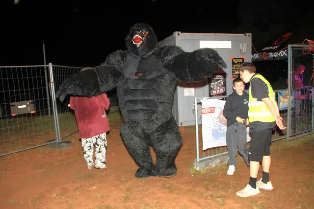 Furchterregend aber doch harmlos - der Gorilla aus dem Hodis. | Foto: Peter Seper