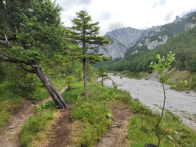 die Hochschwabgruppe gehört zu den nördlichen Kalkalpen... | Foto: I.Wozonig