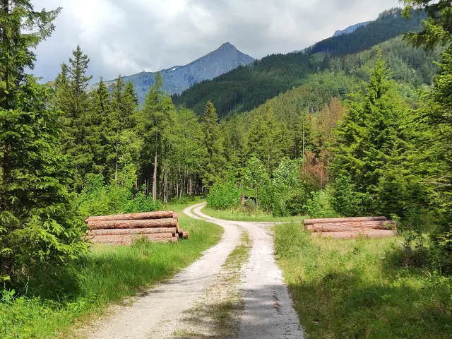 der ,,Zinken" ragt himmelwärts... | Foto: I.Wozonig