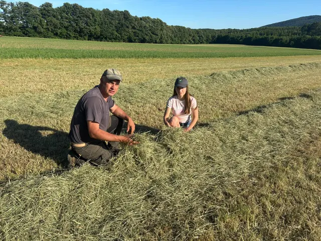 Badens Bauern brauchen dringend mehr Regen