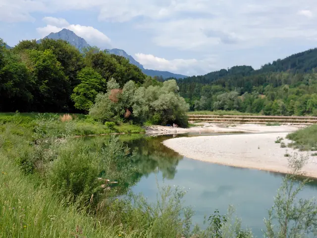 An der Saalach im Hintergrund der Hohe Staufen | Foto: H.Bachinger
