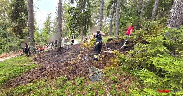 Das Feuer konnte durch die FF Althofen rasch lokalisiert und gelöscht werden. | Foto: Feuerwehr Althofen