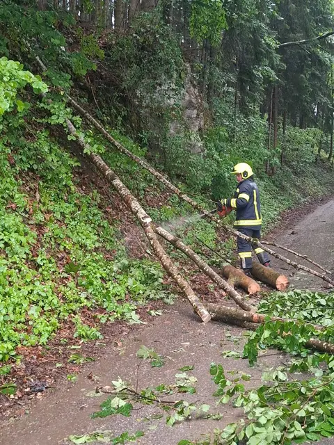 Waidhofen- Wirts | Foto: FFWirts