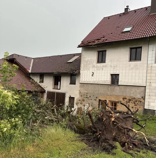 Unwetter entwurzelte Bäume und deckte Dächer ab