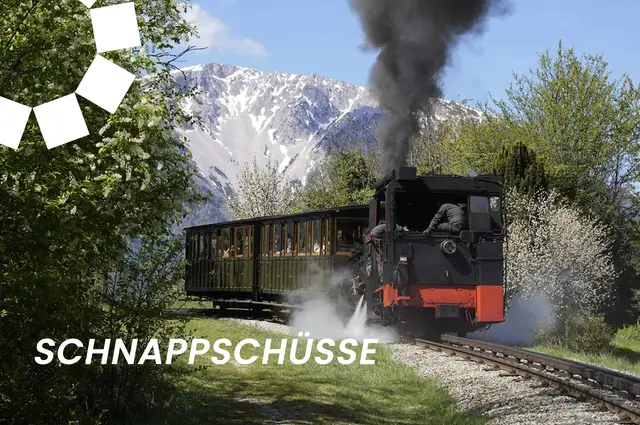 Die schönsten Schnappschüsse in NÖ im Mai 2026