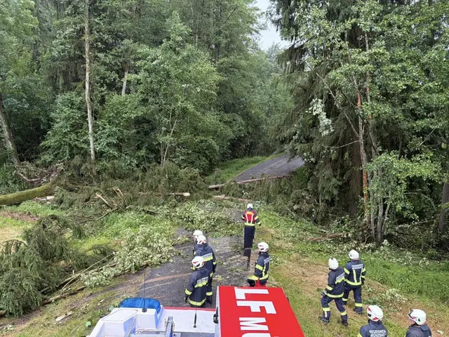 Baum über Straße in Münzbach | Foto: FF Münzbach