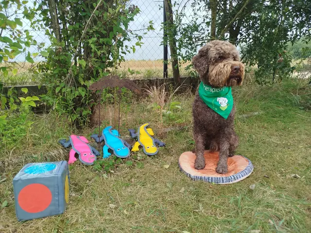 Foto: Ute Nüsken