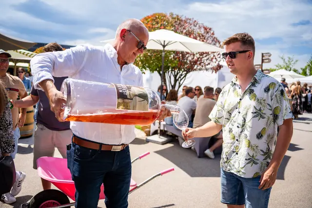 Foto: Weingut Hannes Reeh