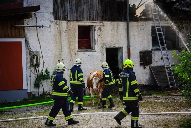 Foto: Daniel Scharinger