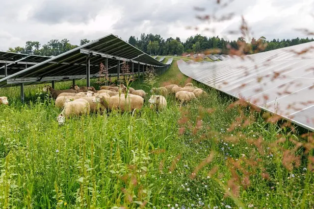 In Graz-Umgebung Süd kann unter anderem der Photovoltaik Park Dobl in Dobl-Zwaring besucht werden. | Foto: Energie Steiermark