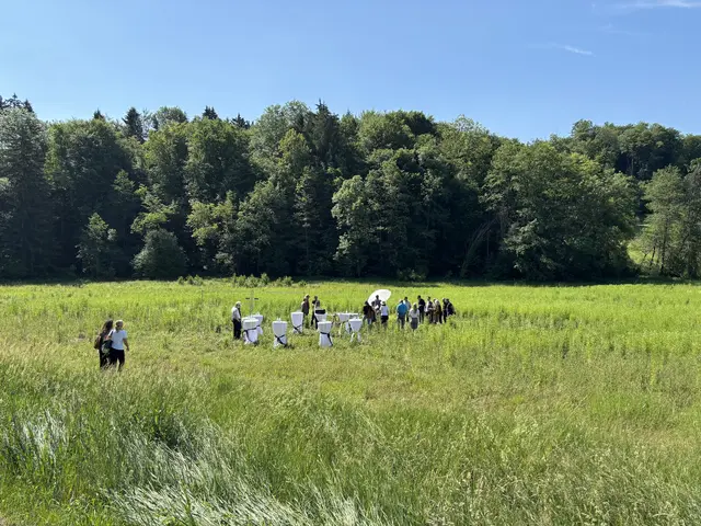 Areal des KZ-Außenlagers in Aflenz