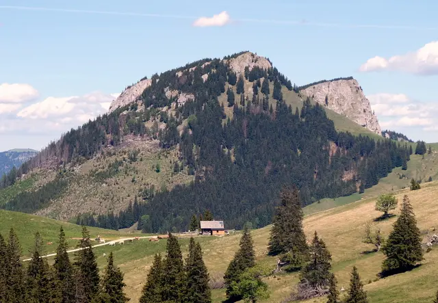 Die "winzige" Dürrieglalm mit dem mächtigen Proles im Hintergrund