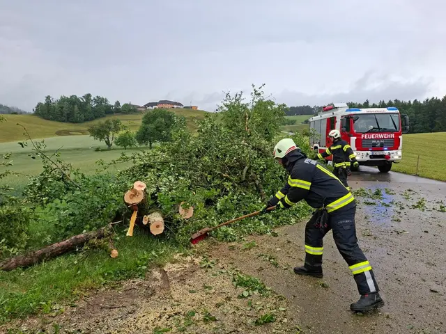 Einsatzarbeiten in Münzbach | Foto: FF Münzbach