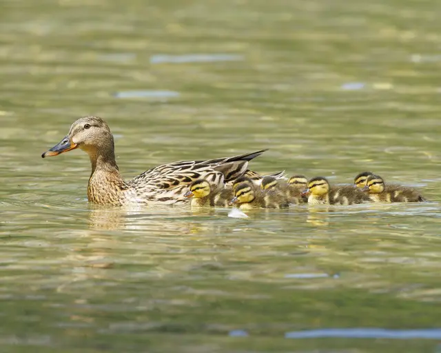 Mutter mit den Kids | Foto: Thomas Berwein