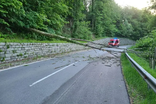Umgestürzte Bäume in Gars am Kamp und Drosendorf