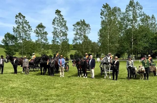 Erfolgreiche Gespanne beim Bewerb in Poppendorf. | Foto: Reiterhof Rössler