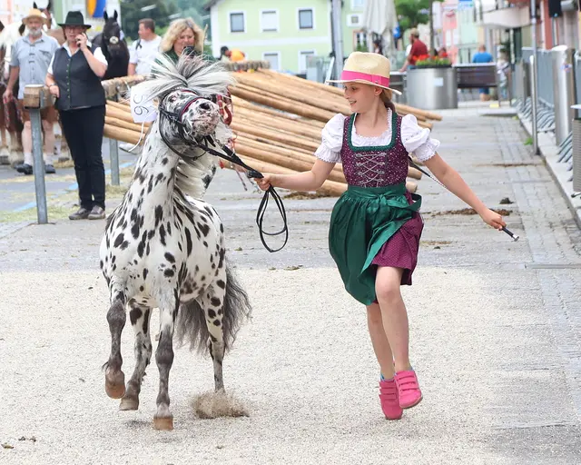 Foto: Helmut Klein