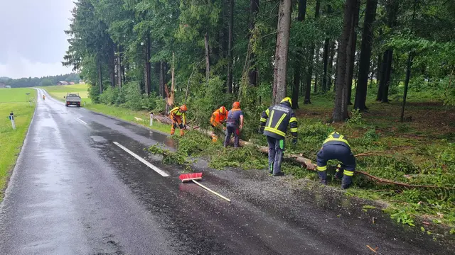 Foto: FF Vollmannsdorf