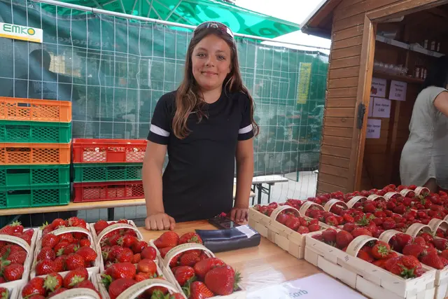 Vor Ort gab es natürlich auch frische Erdbeeren zu kaufen. | Foto: Jennifer Flechl / MeinBezirk
