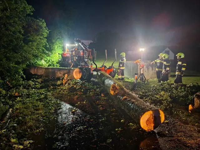 Foto: FF Wildbach