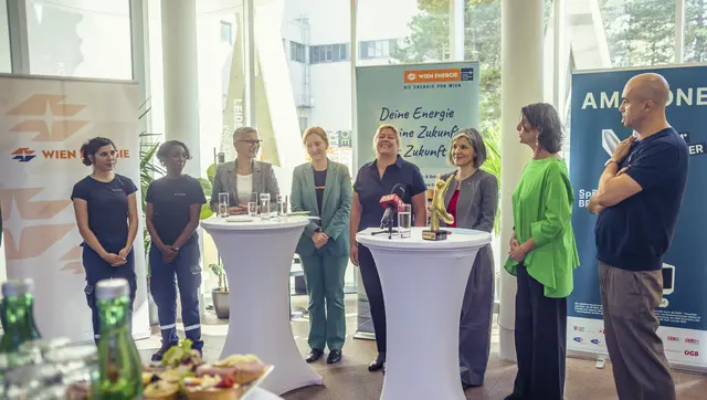 Zum 30. Mal wurde der "AmaZone-Award" verliehen.  | Foto: Sprungbrett Anja Gurtner
