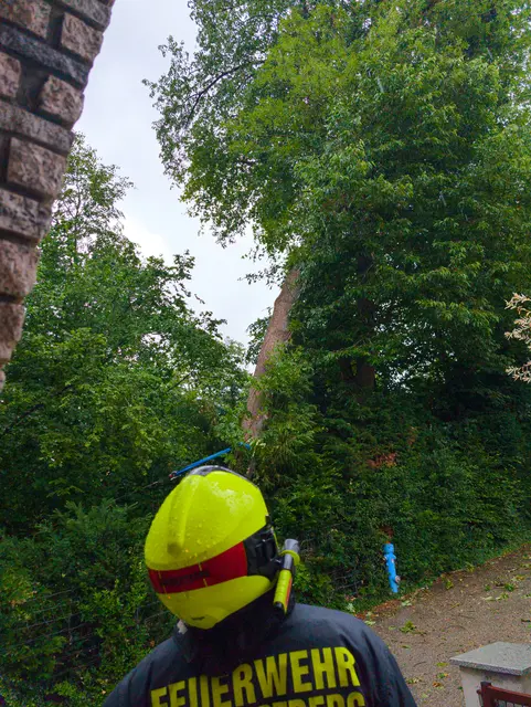 In Schwertberg drohte ein Baum auf ein Haus zu stürzen. | Foto: Feuerwehr Schwertberg