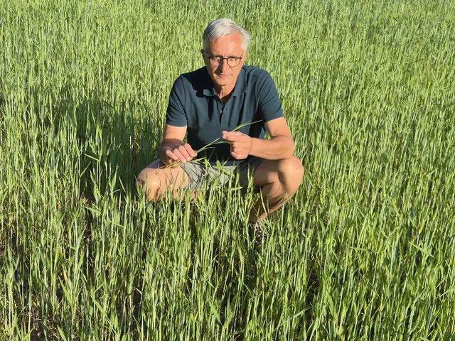 Frühe Trockenperioden werden auch im Bezirk Mödling zum Problem für die Bauern