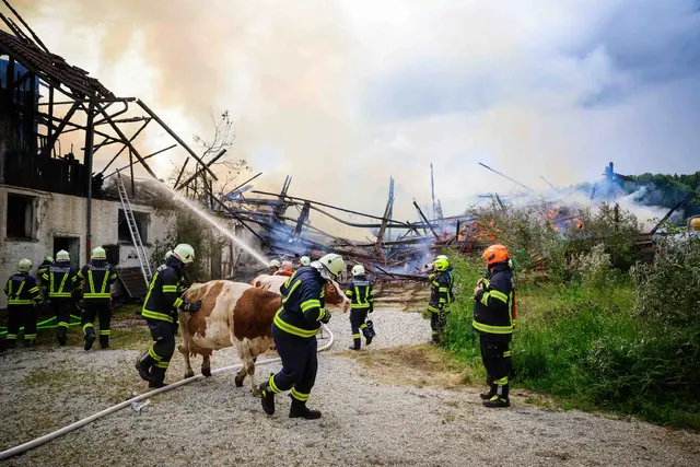 Foto: Daniel Scharinger