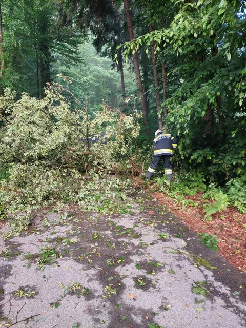 Foto: FF Hohlbach-Riemerberg