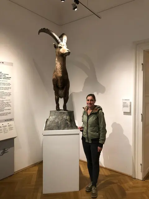 Büchsenmacher- und Jagdmuseum_2023 | Foto: Zmug