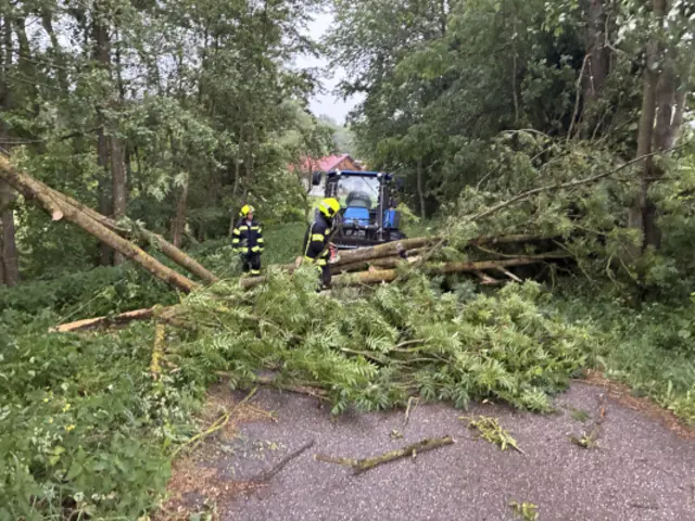 In Peterskirchen stürzten einige Bäume auf verschiedene Straßen. | Foto: FF Peterskirchen