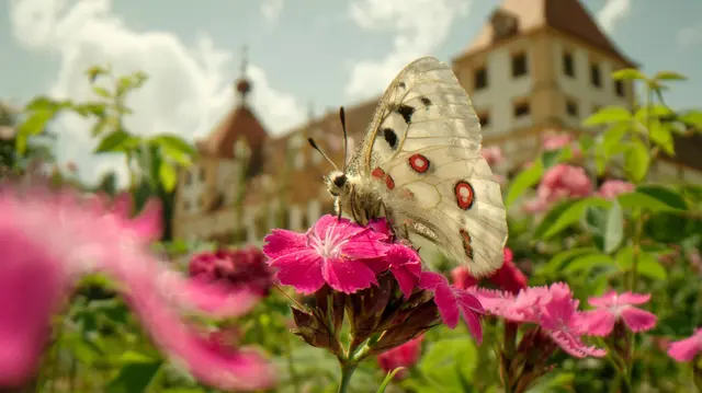 In Schloss Eggenberg wird es am 6. Juni "blumig".  | Foto: UMJ