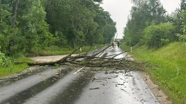 Foto: FF Ernsthofen