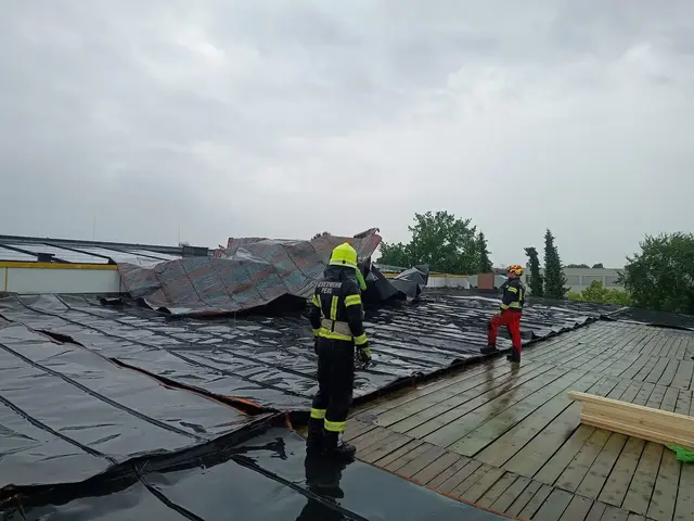 Die FF Perg bei den Arbeiten am Dach des Hallenbads Perg. | Foto: FF Perg