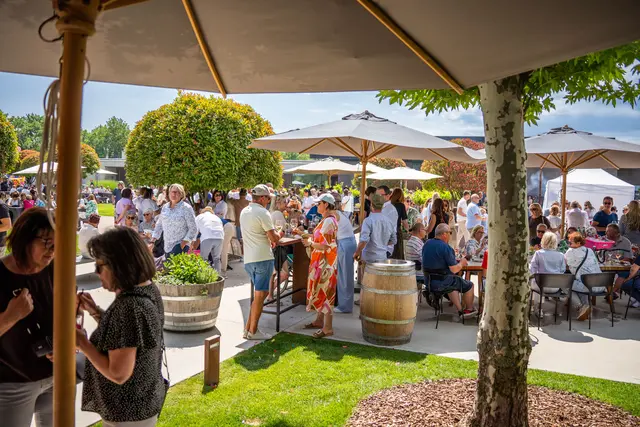 Foto: Weingut Hannes Reeh