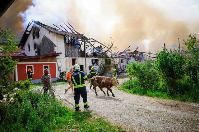 Foto: Daniel Scharinger
