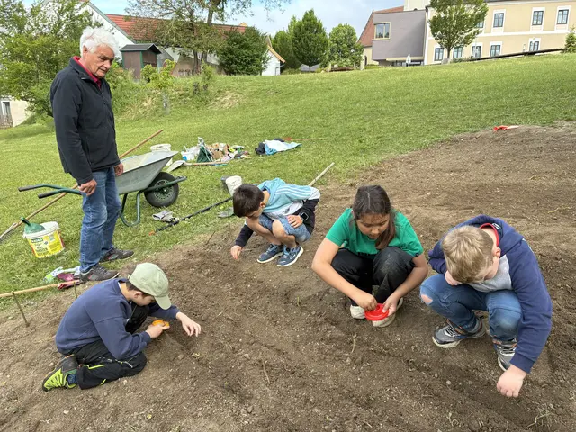 Und da ging es schon ans anpflanzen. | Foto: VS Gerersdorf
