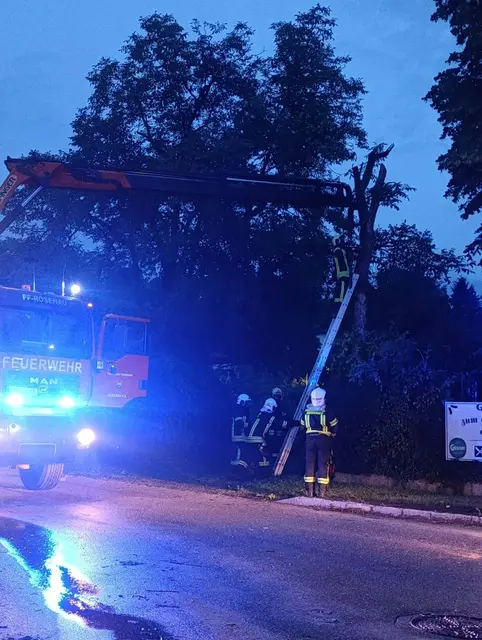 Rosenau | Foto: Bezirksfeuerwehrkommando Amstetten
