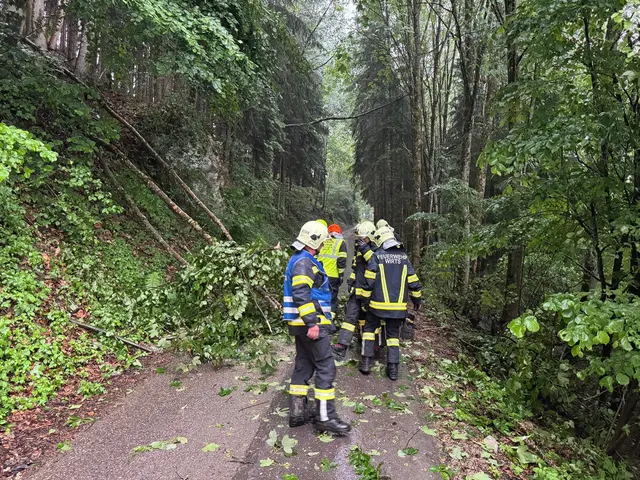 Waidhofen- Wirts | Foto: FFWirts