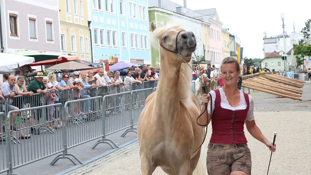 Foto: Helmut Klein