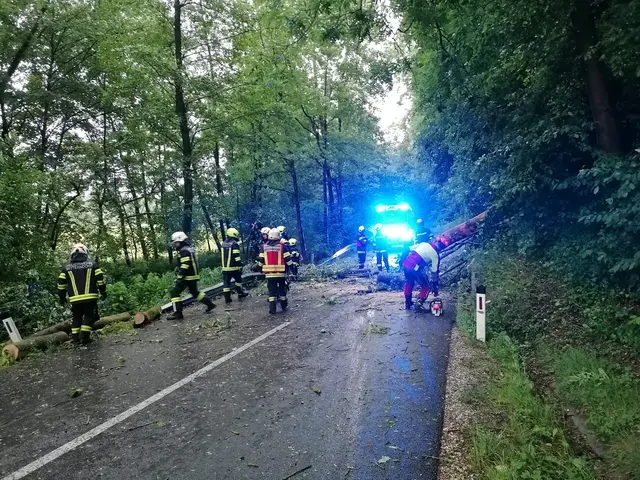Rund 550 Einsatzkräfte waren am 30. und 31. Mai 2026 im Bezirk Schärding unterwegs – vor allem, um umgestürzte Bäume von Straßen und Verkehrswegen zu räumen. | Foto: FF Diersbach
