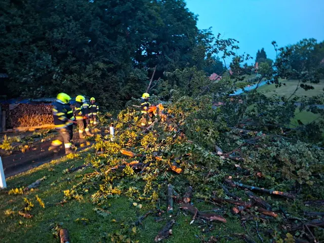 Foto: FF Wildbach