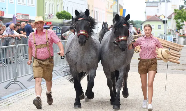 Foto: Helmut Klein