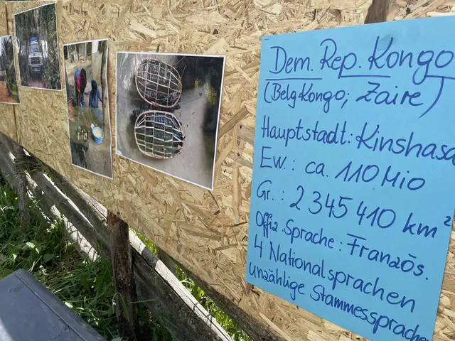 Foto: MeinBezirk/Helmut Riedl