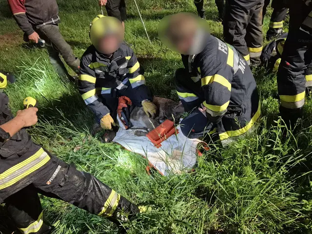 Die Freiwilligen Feuerwehren Hüttenberg und Mühlen wurden mittels Sirene zu einer Tierrettung nach St. Martin alarmiert. | Foto: Freiwillige Feuerwehr Hüttenberg
