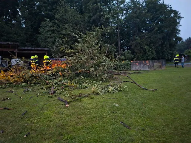Foto: FF Wildbach