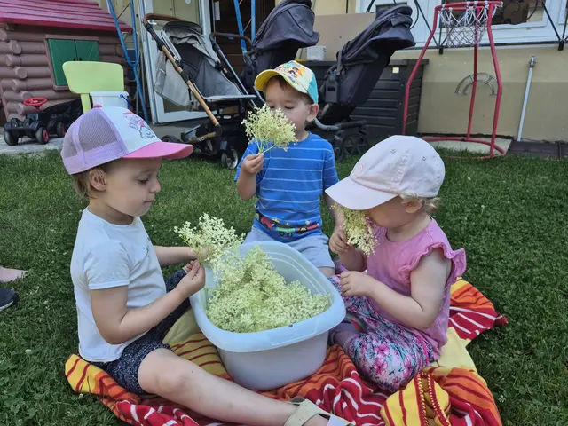 Erst wurden die Holunderblüten gesammelt und der Duft genossen. | Foto: Bimbulli GmbH