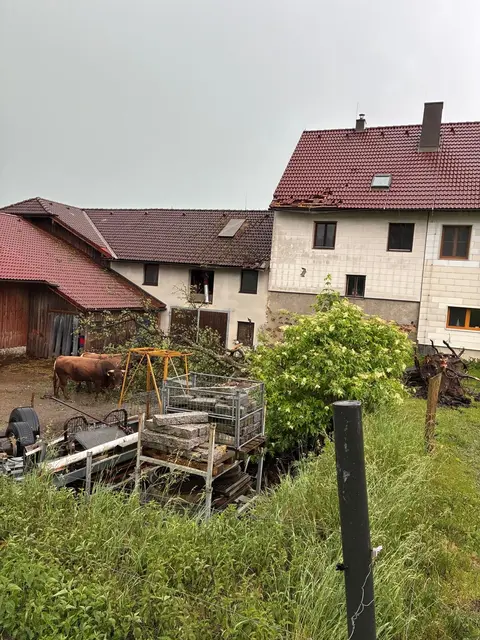 In Schönfichten, Gemeinde Bad Kreuzen, streifte ein umgestürzter Baum ein Haus. | Foto: Burghard Gassner