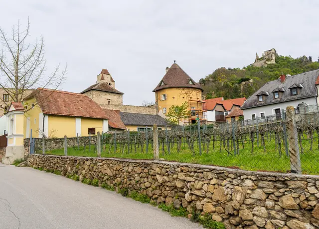 Die Weinviertler Nationalratsabgeordnete Melanie Erasim brachte der Parteitag eine neue Funktion. (symbolfoto)  | Foto: pexels / Gotta Be Worth It
