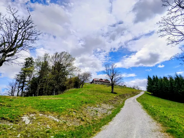 Auf dem Weg zur Hinteralm | Foto: Eva Haider